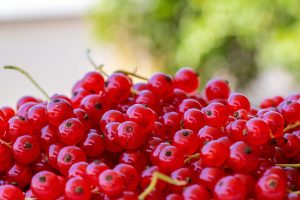 Dieta jajeczna – skutki, zasady i efekty odchudzania